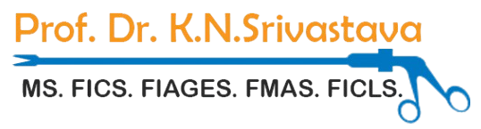 Dr K N Srivastava